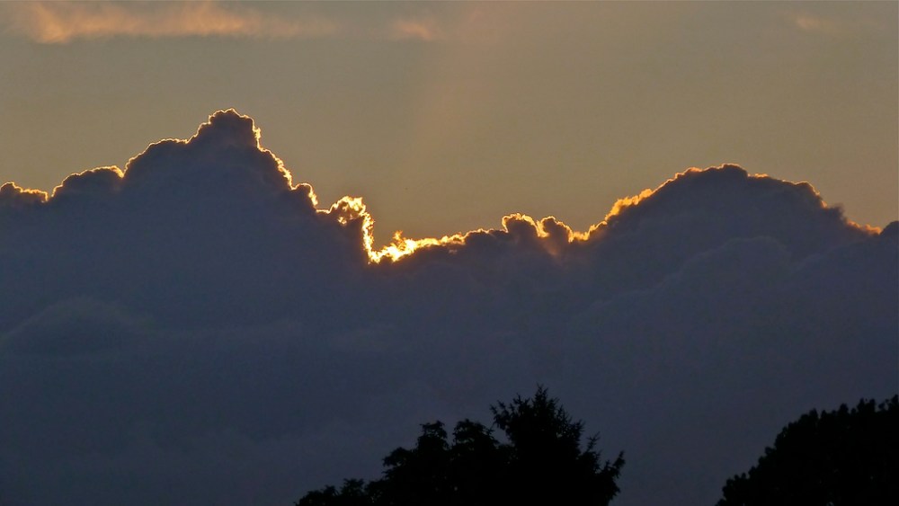 5973723108_a01378ee6c_b