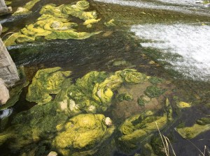 32ADD886-2DB7-4FD2-9FE4-ECFEF5FA1407