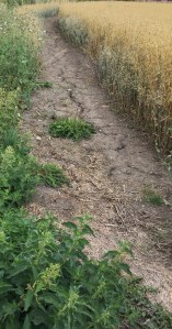 0374B81C-DC71-484D-B4E6-4DD3D0924342