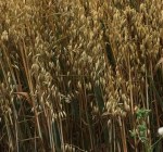 1069E101-4E28-4636-B132-380EEEA8FD83