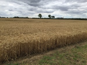 23499AB2-7034-4EDF-972F-99E991A0A7B0