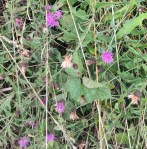 99F10681-9768-4283-99D7-E1E5294583F7