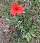 C9296846-1FFA-45CB-9795-6AA6144653C3