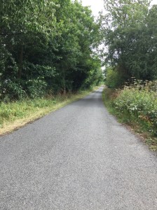 D06F3994-FD23-45F0-BBC3-3327FB6D4DF3